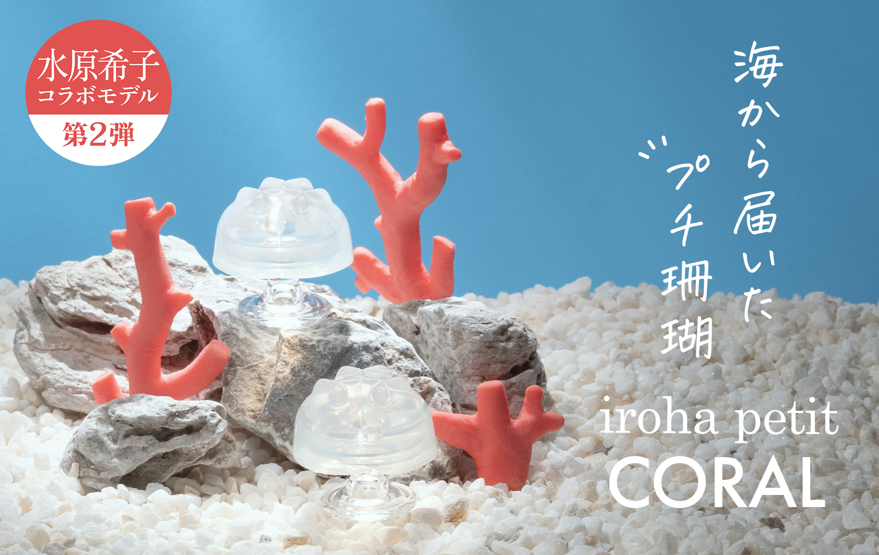 iroha petit CORAL