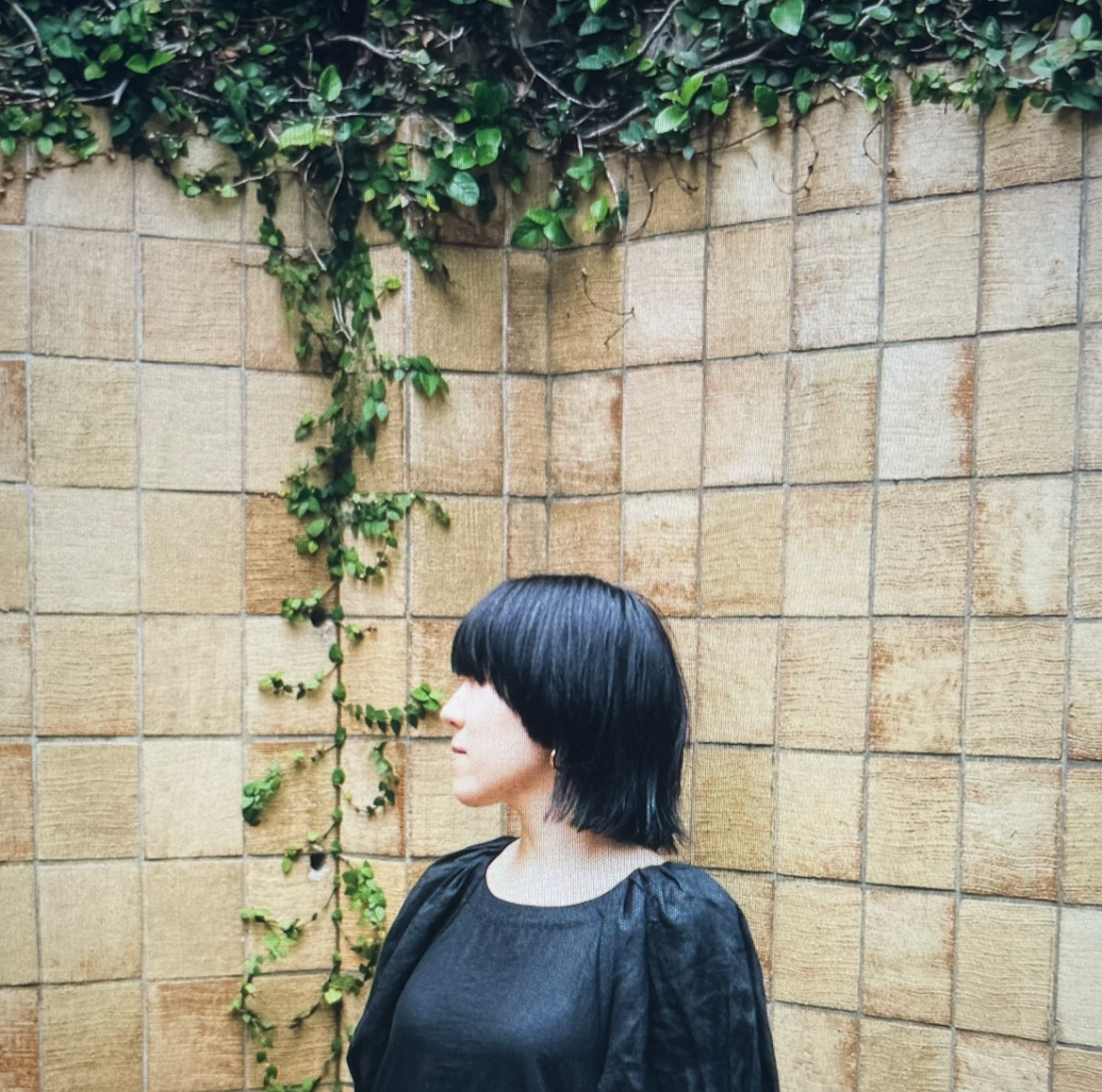おもちさん