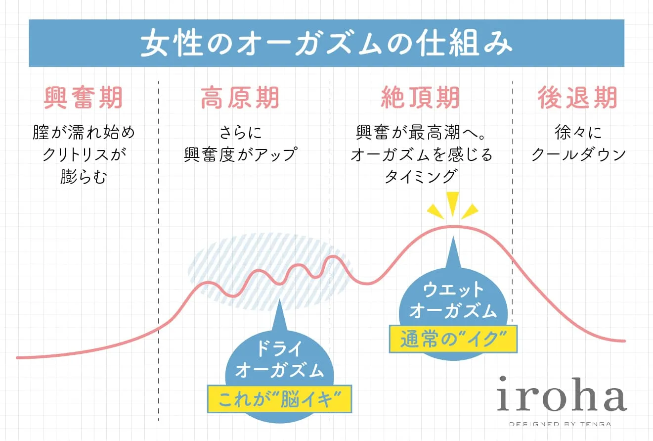 オーガズムの仕組み