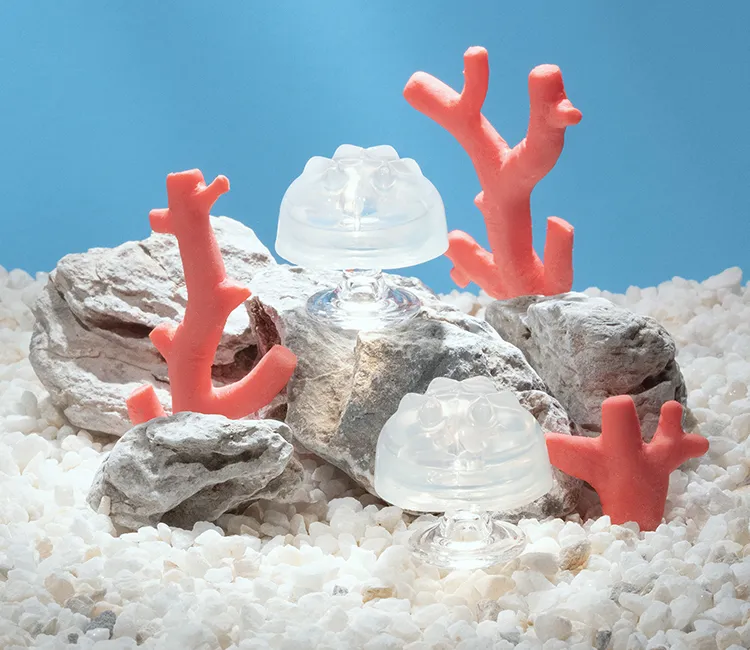iroha petit CORAL|iroha×水原希子 共同開発