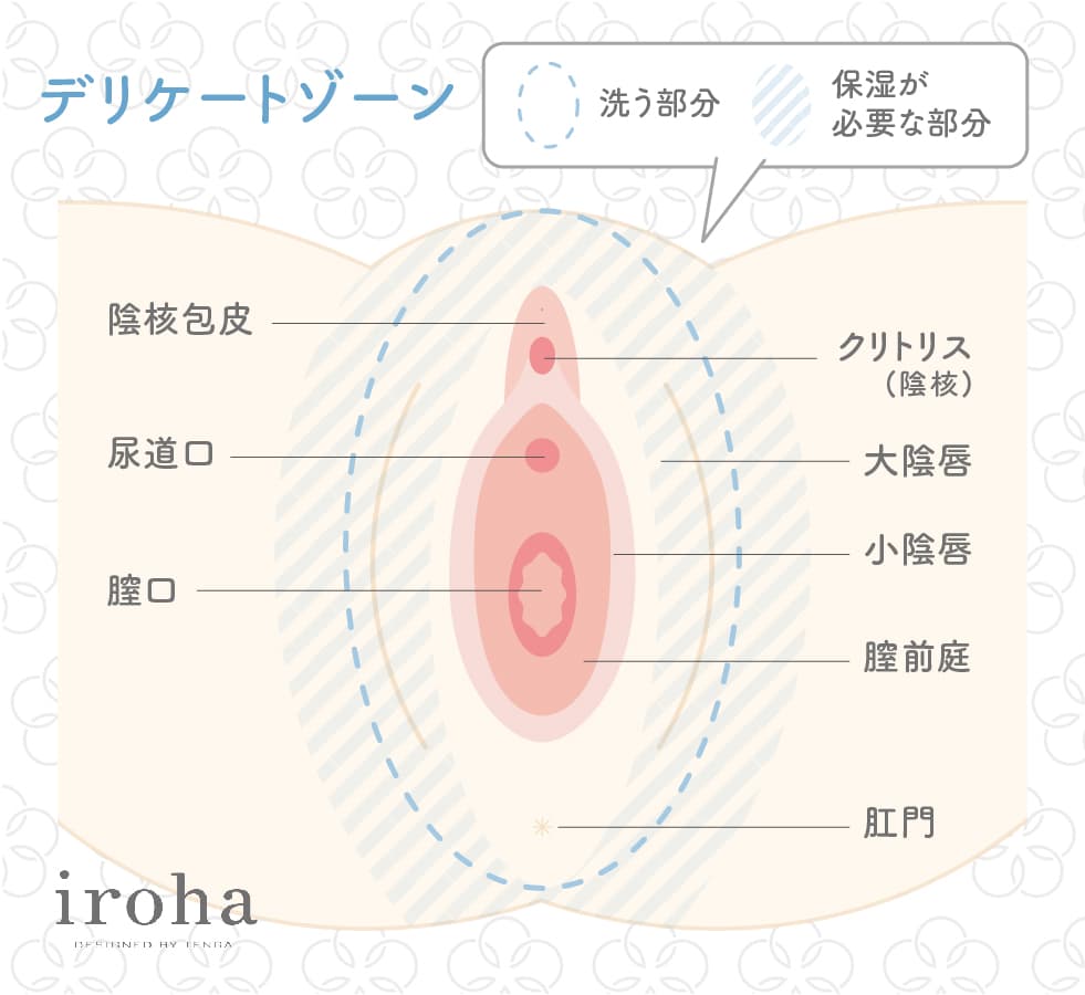 デリケートゾーン_洗う部分
