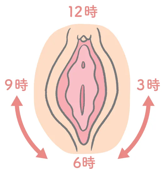 膣のマッサージの方向がわかるイラスト図解