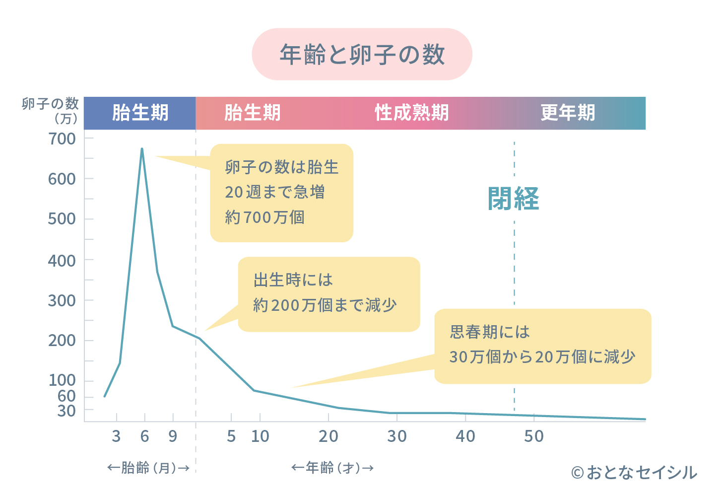 年代別の卵子の数_グラフ_おとなセイシル