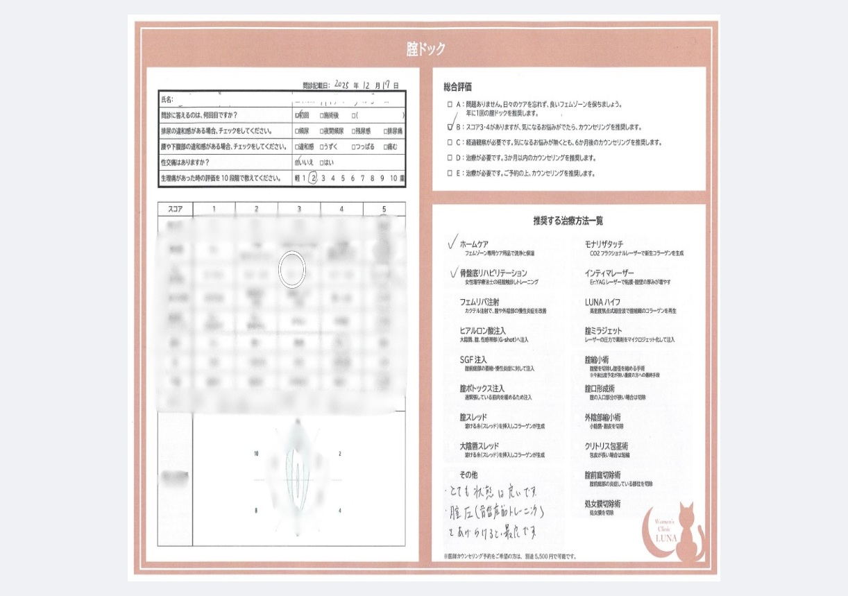 綿来_腟カルテ_ぼかし済み