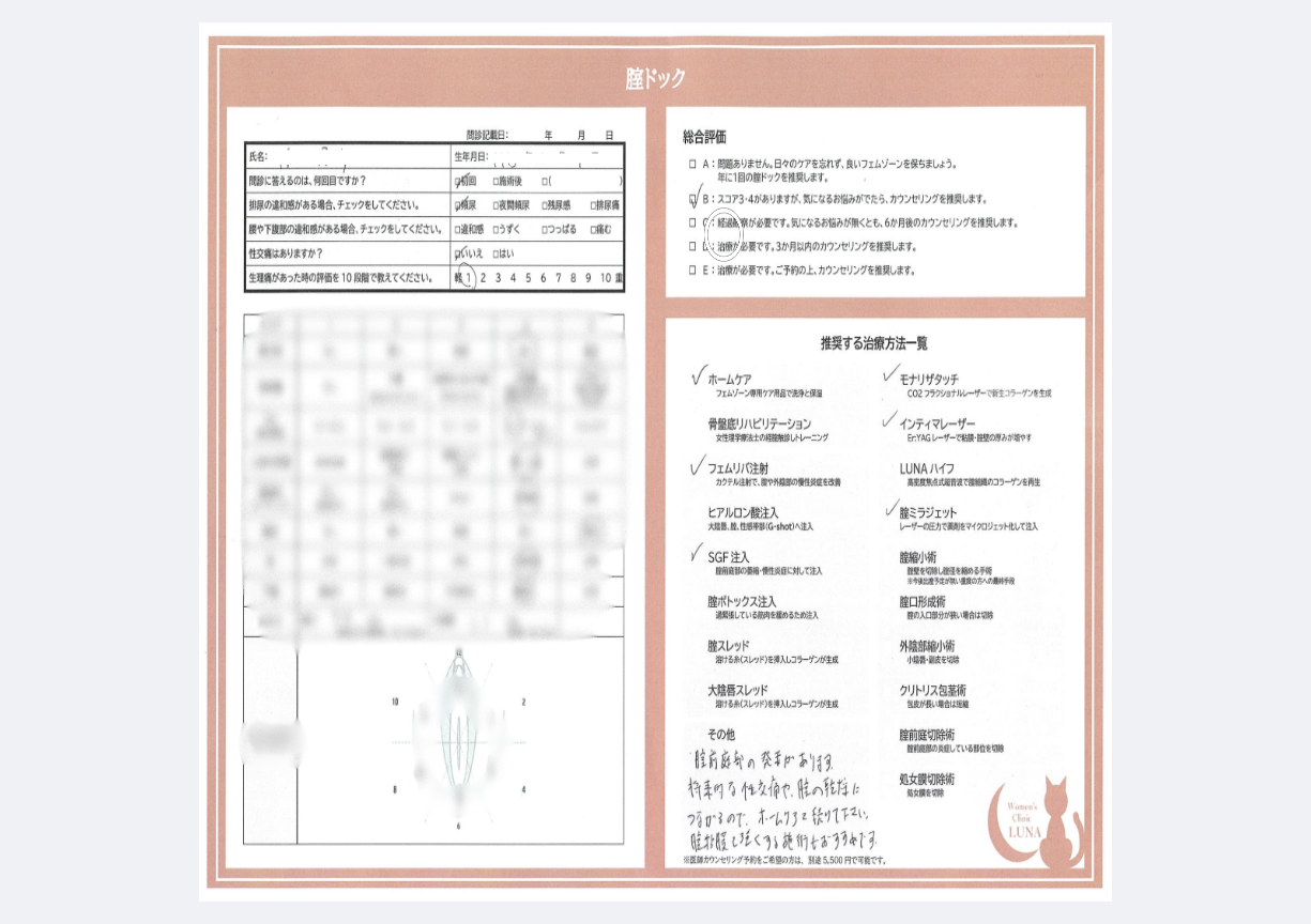 青柳_腟カルテ_ぼかし済み