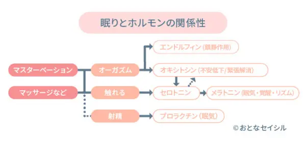 眠りとホルモンの関係性_図表