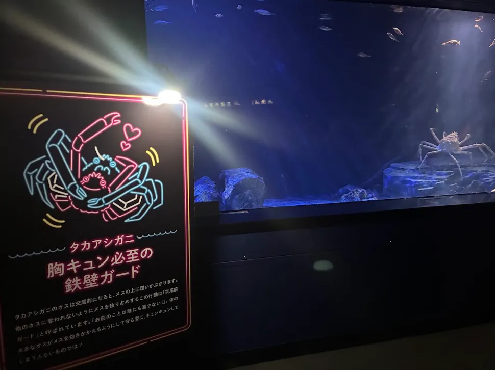 性いっぱい展_かに水槽