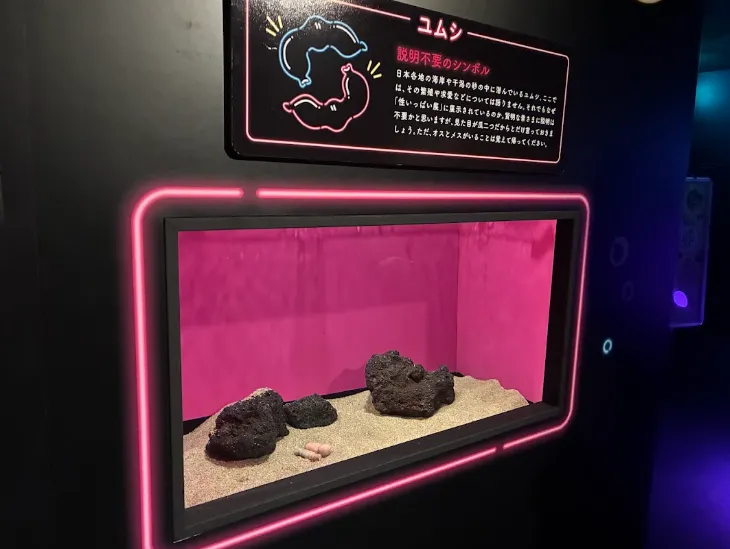 性いっぱい展_ユムシ展示