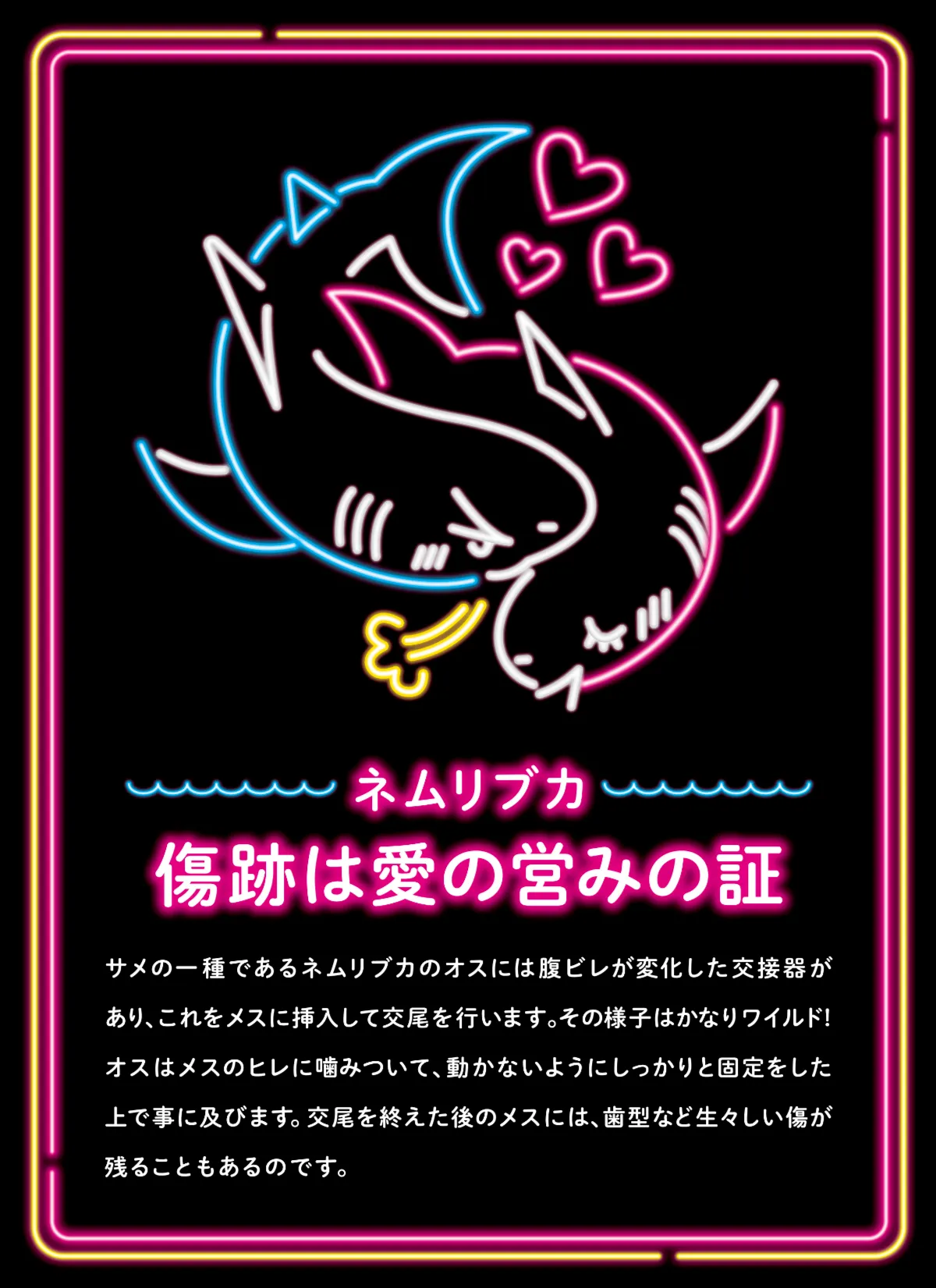性いっぱい展_解説パネル
